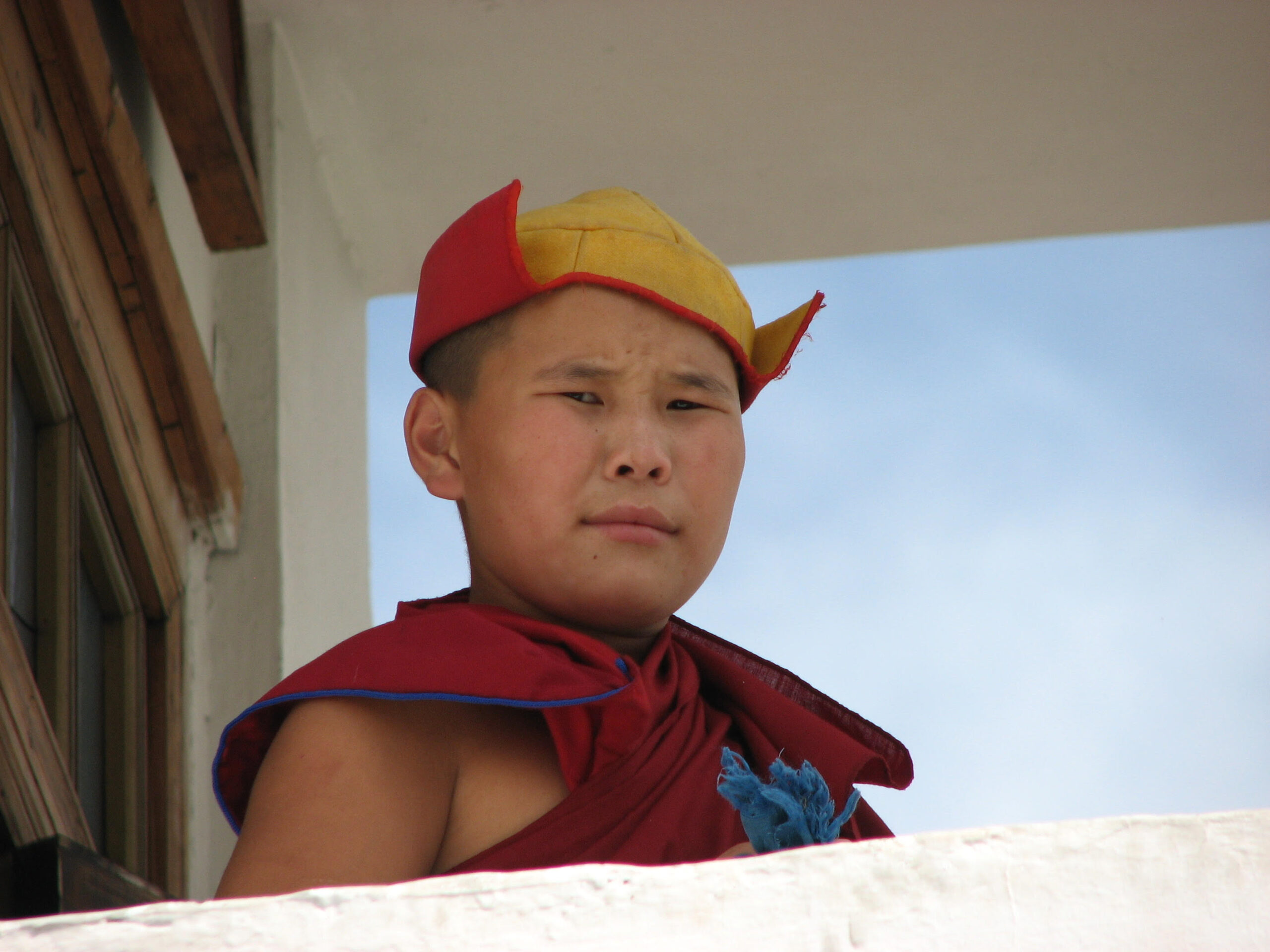 Eurasian child holding a baby animal